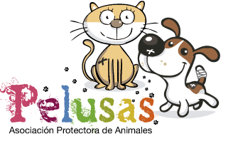 Pelusas