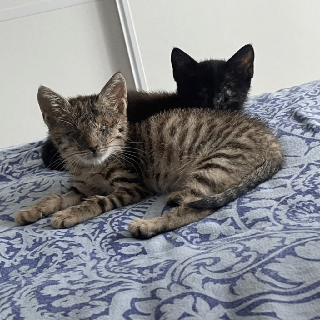 sara-y-alma-cama
