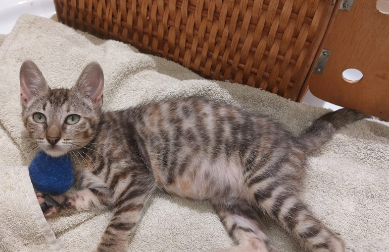 Luna